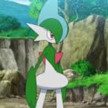 Chat with Gallade, the  character AI chatbot