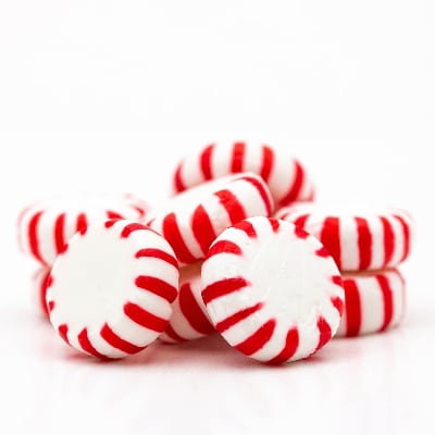 Chat with Minteon’s info bot, the  character AI chatbot