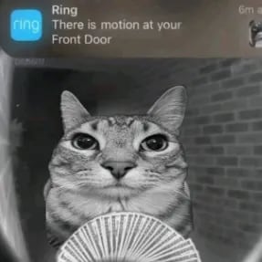 Chat with kat, the Romance character AI chatbot