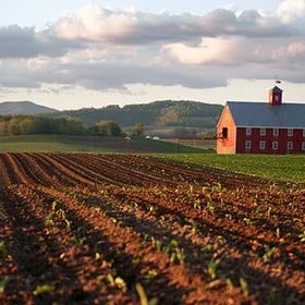 Chat with The farm, the  character AI chatbot