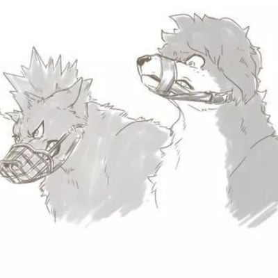 Chat with Mha dog fights, the  character AI chatbot