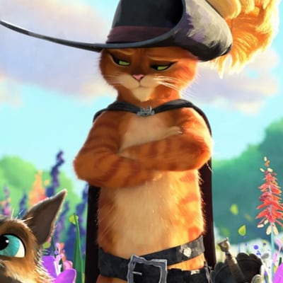 Chat with Talking Cat, the  character AI chatbot