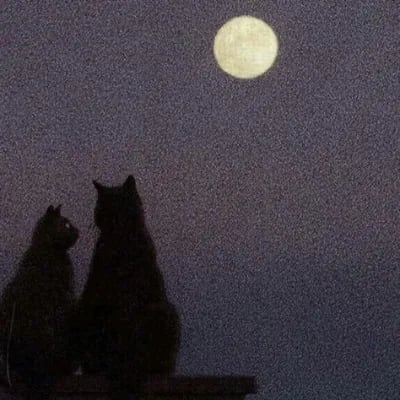 Chat with BL| Moon God 🌙|, the BL & ABO character AI chatbot