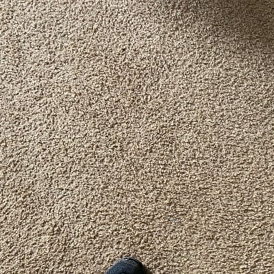 Chat with Venny, the  character AI chatbot