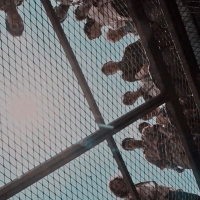 Chat with The mazerunner, the Movie & TV character AI chatbot