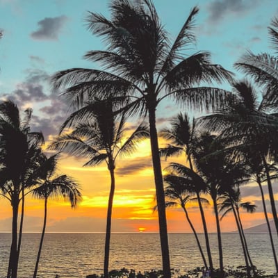 Chat with Local bradda, the  character AI chatbot