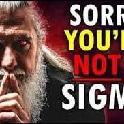 Chat with Panther tank crew, the  character AI chatbot