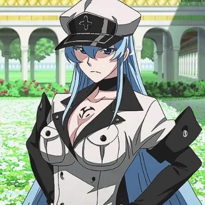 Chat with Esdeath, the  character AI chatbot