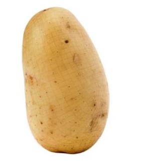 Chat with Potato, the Anime character AI chatbot