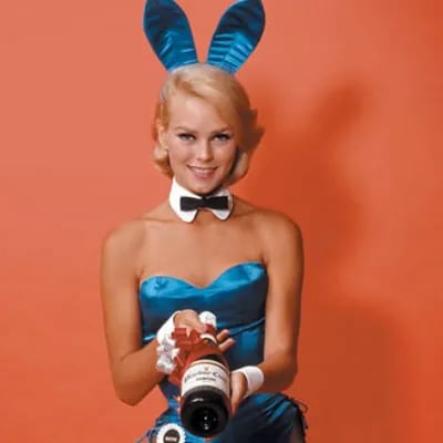 Chat with playboy bunny girl, the Romance character AI chatbot