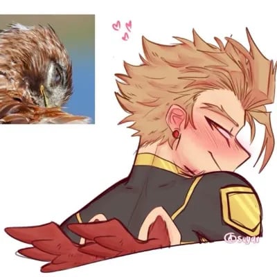 Chat with 🦅★𝐇𝐚𝐰𝐤𝐬★🍃, the  character AI chatbot