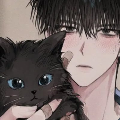 Chat with Kaito, the  character AI chatbot