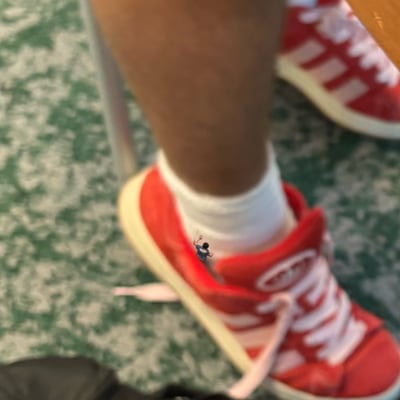 Chat with Giant Marcello, the Anime character AI chatbot