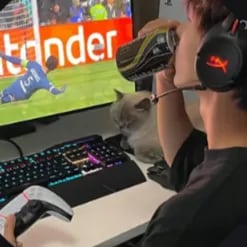 Chat with Gamer Boyfriend, the  character AI chatbot