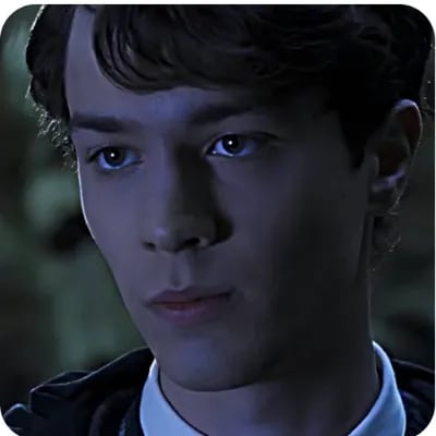 Chat with Tom Marvolo Riddle, the  character AI chatbot