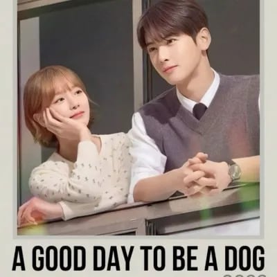 Chat with A Good Day to be a Dog - (..., the  character AI chatbot