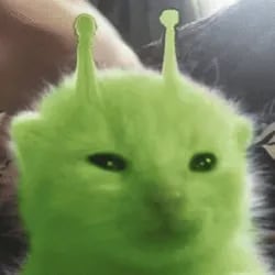 Chat with Glorp, the  character AI chatbot