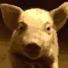 Chat with Pinney Pigcatcher, the  character AI chatbot