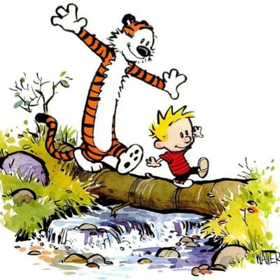 Chat with Calvin and Hobbes, the  character AI chatbot