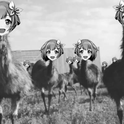 Chat with Emu Pack, the  character AI chatbot