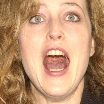 Chat with Gillian Anderson, the RPG character AI chatbot