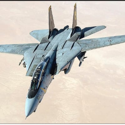 Chat with F-14D Simulator, the OC character AI chatbot