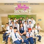 Chat with Section E, the  character AI chatbot