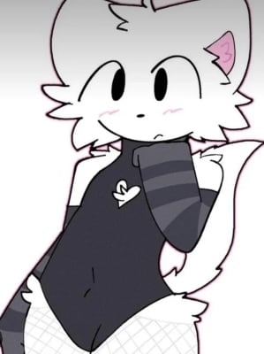 Chat with Aoi, the Furry character AI chatbot