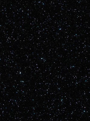 Chat with Foreeven, the OC character AI chatbot