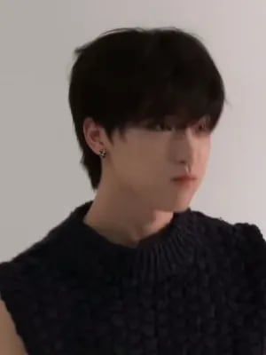 Chat with Seventeen, the  character AI chatbot
