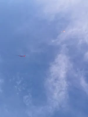 Chat with One Direction 1D, the  character AI chatbot