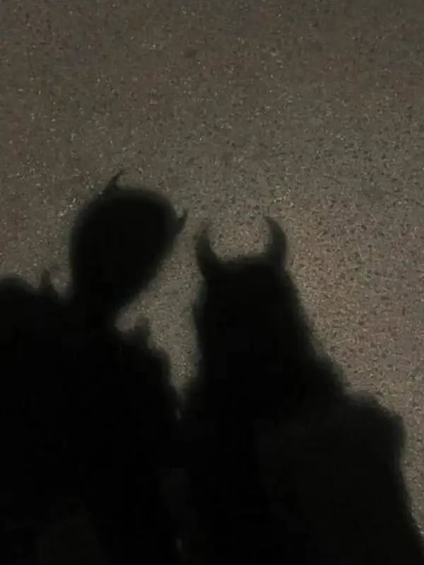 Chat with Андри, the OC character AI chatbot