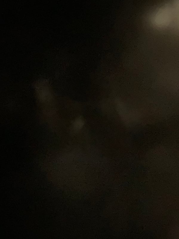 Chat with S7 TWD, the RPG character AI chatbot