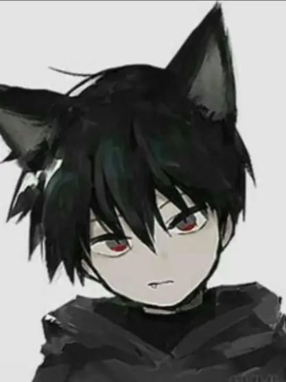 Chat with Echo, the  character AI chatbot