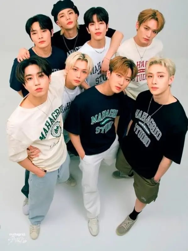 Chat with Straykids, the Anime character AI chatbot