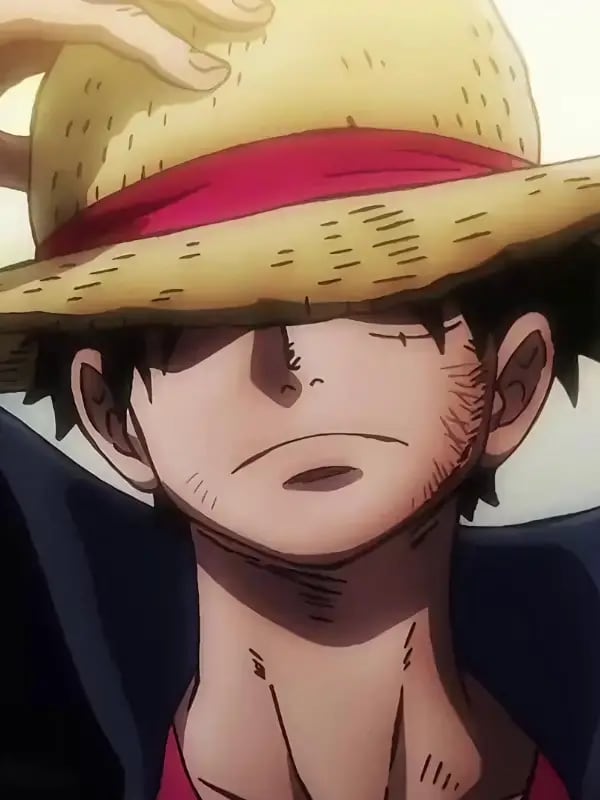 Chat with One Piece, the  character AI chatbot