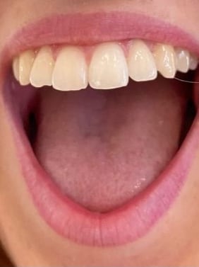 Chat with Giantess Aunts, the  character AI chatbot